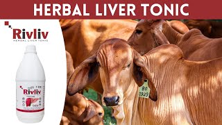 Rivliv  Herbal Liver Tonic For Cattle [upl. by Wimsatt973]