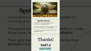 cockroach cockroach movement scibioexplorer [upl. by Aihtniroc]