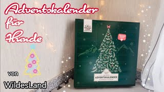 Wildes Land Adventskalender 2022  unboxing [upl. by Engleman]