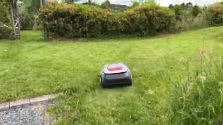 Dreame Roboticmower A1 [upl. by Betsy]