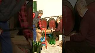 SHORT  SIDRA artesanal a partir de manzanas sidreras Vídeo completo en mi canal [upl. by Anehsuc]