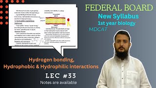 Hydrogen bonding  hydrophobic and hydrophilic interactions  class 11 [upl. by Niawtna]