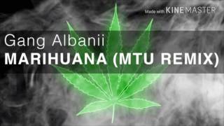 Gang Albanii Marihuana Best Remix [upl. by Vharat591]