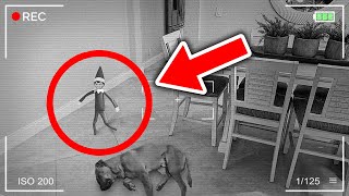 20 Times Elf on the shelf caught moving on camera walking 😱 [upl. by Mellie]