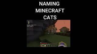 NAMING MINECRAFT CATS [upl. by Oigolue]