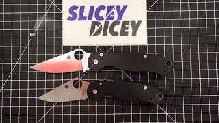 Should You Buy a Spyderco PM2 or a Para 3 [upl. by Atsyrhc]