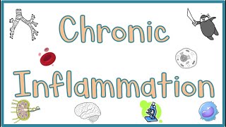 Chronic Inflammation  Causes Morphologic features Mediators Examples amp Clinical manifestations [upl. by Haidej]