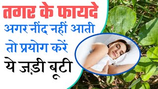 तगर के फायदे  Valeriana Jatamansi Health Benefits in Hindi by Dr Shamoon [upl. by Fennell]