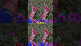 Funny video 😂 name Aqsa saiqa uroosa arfa whatsappstatus arfa [upl. by Annenn]