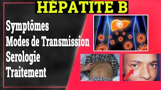 Hépatite B Symptômes Transmission Traitement  Gastrologie Médicale [upl. by Mhoj]