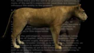 The Little Dog that Roared  Edgar Cayces Reincarnational History of Ancient Rome [upl. by Naxor]