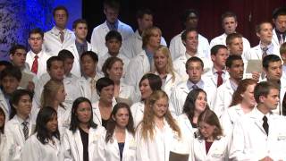 The Four Years of Medical School [upl. by Karlik805]