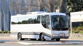 D9Bishift Currumbin Valley Bus amp Coach Volvo B9R  BCV04 [upl. by Nilam]