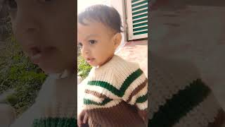 Kabootari Chali trending youtubeshorts shorts song viralvideo youtubeshorts ytshorts trend [upl. by Ijat]