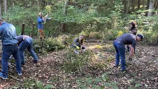 Beaver Analog Dam Build at Bernheim [upl. by Yelsew]