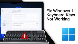 Fix Windows 11 Keyboard Keys Not Working 4 Ways [upl. by Conn]