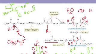 Organic Chemistry II Chapter 17 part 7 Malonic Ester and Acetoacetic Ester Synthesis [upl. by Nicolina127]