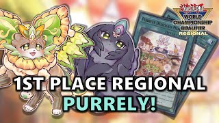 FIRST PLACE Remote Regional Purrely Deck Profile Ft Jason Yuan purrelyenjoyer  POST LEDE [upl. by Ushijima931]