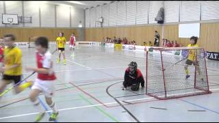 Floorball im GutsMuths Gymnasium Quedlinburg [upl. by Amabel]