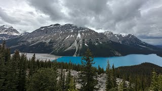 The Stunning Peyto Lake Banff National Park [upl. by Aicirtal618]