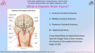 MNRI® A Spark of Hope for Hypoxic Brain Injuries [upl. by Nairdna]