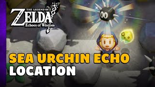 Zelda Echoes Of Wisdom  Sea Urchin Echo Location [upl. by Enorej]