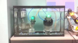 Burkert 8801 fish tank test 2 [upl. by Ninetta]