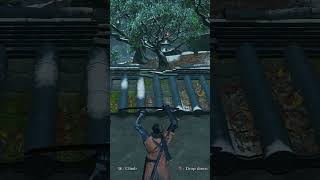 No Damage demon of hatred Finally sekiro [upl. by Thanos]