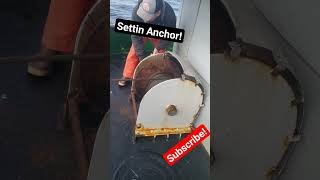 Anchor time Black Cod fishingfishing fishalaska shortvideo beringsea [upl. by Aldarcy]