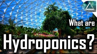 Hydroponics What are Hydroponics how do they work and Living With the Land at Epcot Disney [upl. by Novla482]