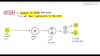 51 Introduction to the Mitotic Cell Cycle Cambridge AS A Level Biology 9700 [upl. by Eniamirt429]