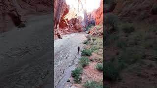 Buckskin Gulch Slot Canyon [upl. by Adyeren615]