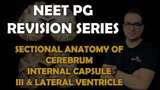 NEET PG SECTIONAL ANATOMY OF CEREBRUM INTERNAL CAPSULE III amp LATERAL VENTRICLES [upl. by Yemac]