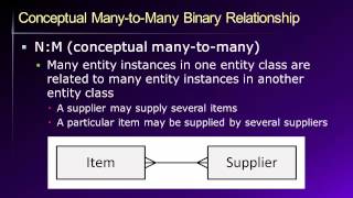 Database Lesson 4 of 8  Data Modeling and the ER Model [upl. by Anialad]