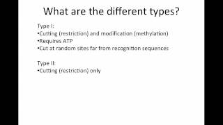Restriction Enzymesmp4 [upl. by Airbmat]
