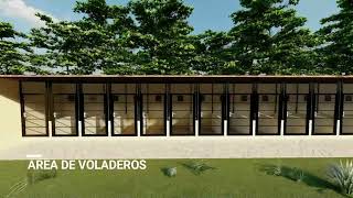 Instalaciones para Gallos De Combate [upl. by Japheth]