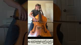 Mozart 40 1st mvt Bass excerpt [upl. by Otinauj]