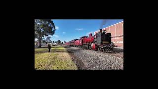 Steam Trains Shuttles in Shepparton Victoria shorts steamlocomotive steamtrain australiantrains [upl. by Kenelm]