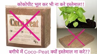 कोकोपीट कभी इस्तेमाल ना करे बगीचे में।Do Not Use Cocopeat In Garden Plants [upl. by Aleinad]