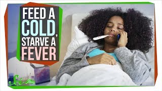 Should You Really Feed a Cold Starve a Fever [upl. by Enomsed]