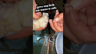 ভুলেও আস্ত চিংড়ি রান্না করবেন না কেউ। Dont forget to cook whole shrimp shrimp food foodlover [upl. by Kinsler]