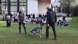 Educazione cinofila alla scuola Robecchi di Vigevano [upl. by Camarata]