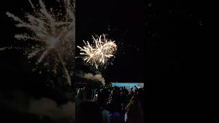 Fun Fair in Melbourne fair fireworks festival travel trending shorts haryana minivlog desi [upl. by Miza]