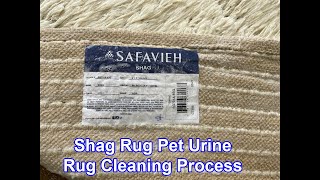 Safavieh Shag Rug Washing Process shorts plano dallas frisco [upl. by Yerfdog3]