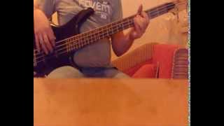 Elektryczne Gitary  Na Krzywy Ryj bass cover [upl. by Pickard]