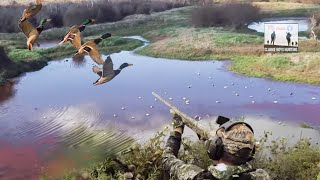 DUCK HUNTING 2023  Opening weekend [upl. by Eyahs]