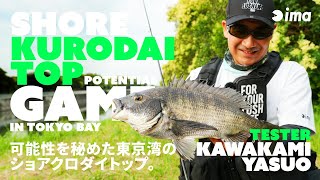 SHORE KURODAI TOP POTENTIAL GAME IN TOKYO BAY  可能性を秘めた東京湾のショアクロダイトップ。 [upl. by Buote]