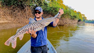 COMEÇOU A ALTA TEMPORADA DE PESCA 2023 NO PANTANAL [upl. by Remmer]