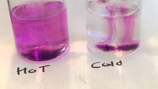 Diffusion of Potassium Permanganate in Hot and Cold Water [upl. by Eiram]