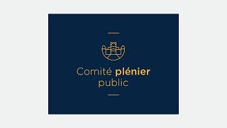 Comité plénier public du 14 mai 2024 [upl. by Soren]